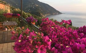 B&B Case Rosse